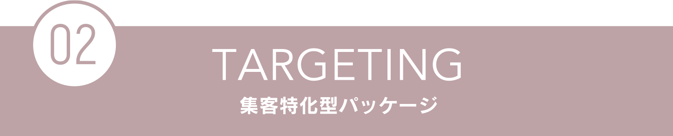 TARGETING 集客特化型パッケージ